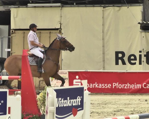 Reitturnier Oberderdingen 2019