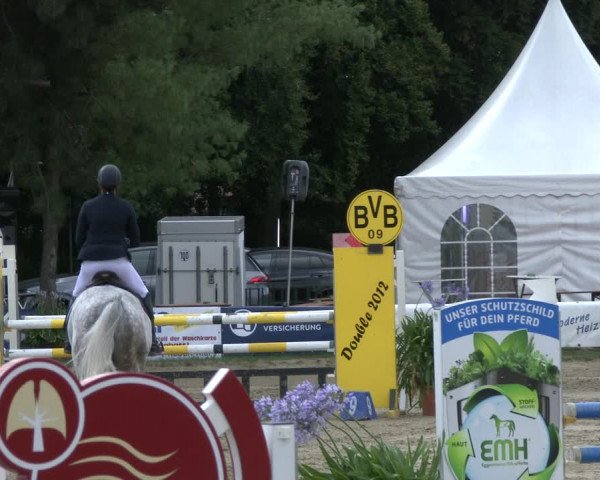 Reitturnier Waltrop 2019
