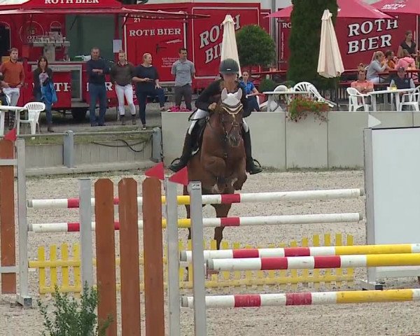 Reitturnier Grafenrheinfeld 2019