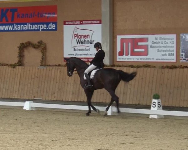 Reitturnier Grafenrheinfeld 2019