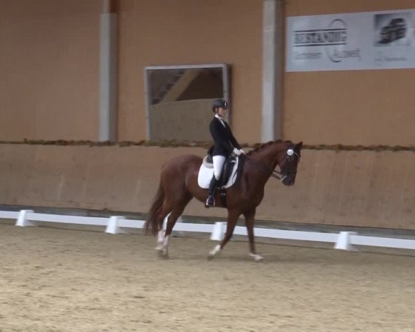 Reitturnier Grafenrheinfeld 2019
