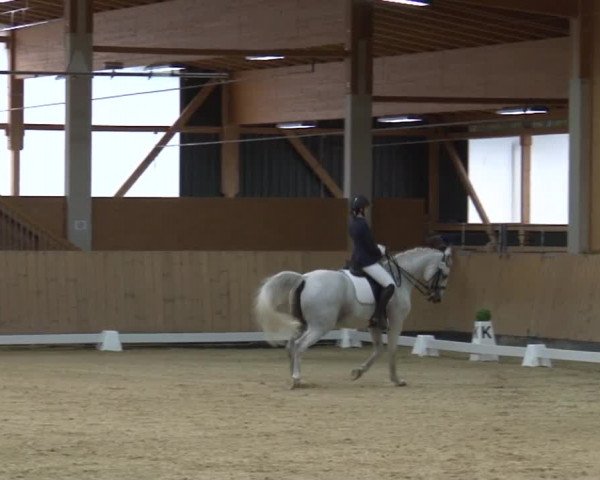 Reitturnier Grafenrheinfeld 2019