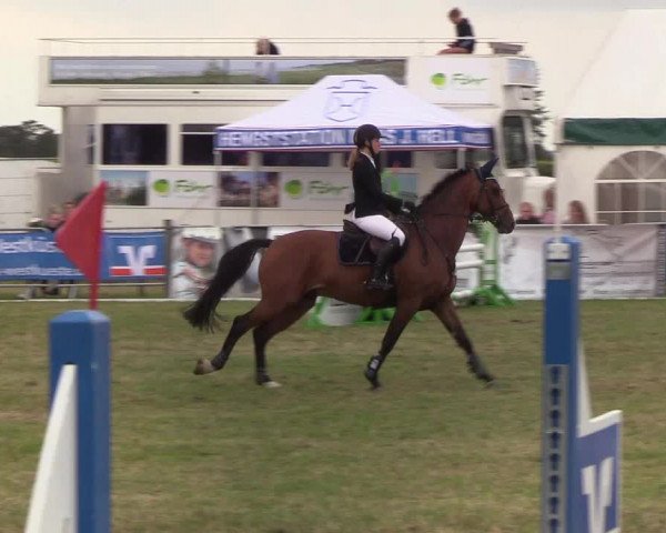 Reitturnier Behrendorf 2019