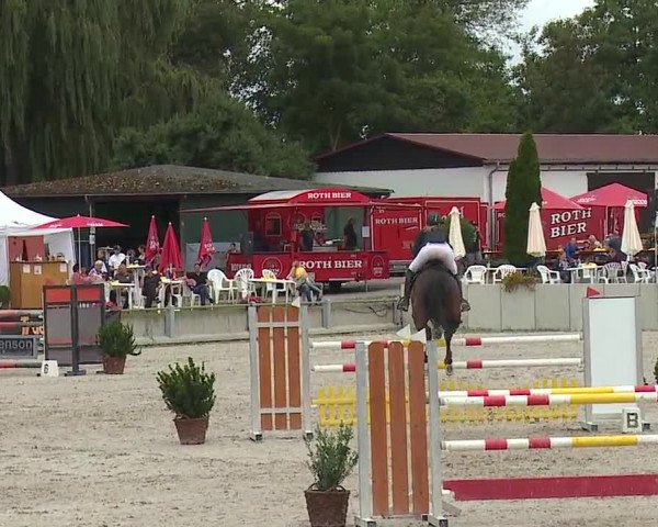 Reitturnier Grafenrheinfeld 2019