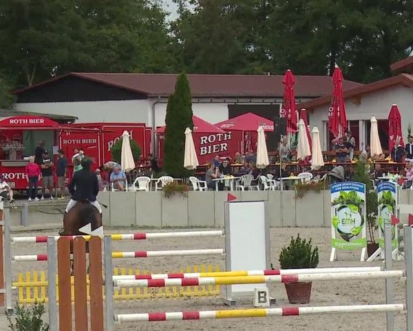Reitturnier Grafenrheinfeld 2019