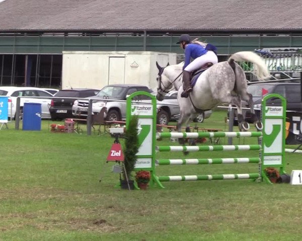 Reitturnier Behrendorf 2019