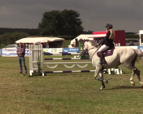 Reitturnier Behrendorf 2019