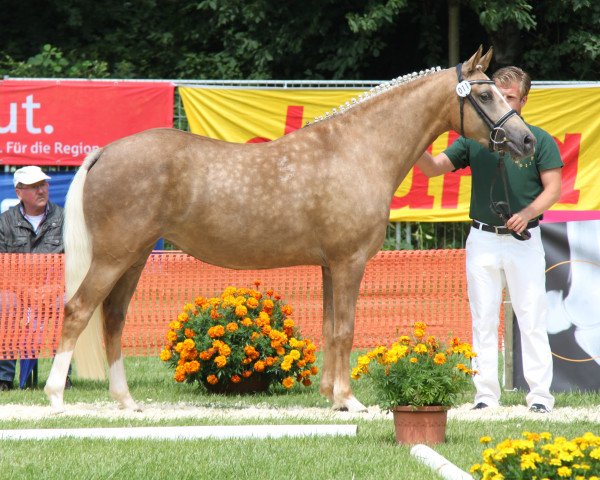 broodmare Deliah (German Riding Pony, 2009, from Dornik's Donovan)
