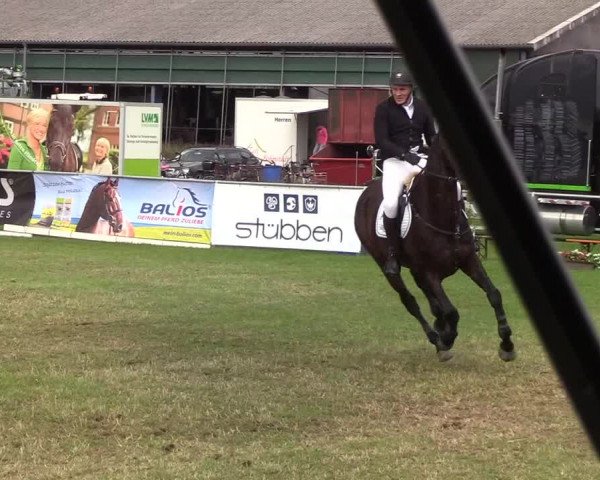Reitturnier Behrendorf 2019