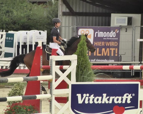 Reitturnier Oberderdingen 2019