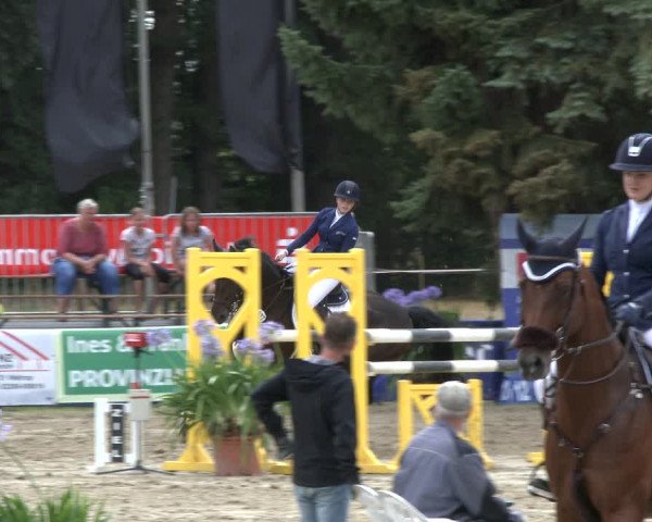 Reitturnier Waltrop 2019