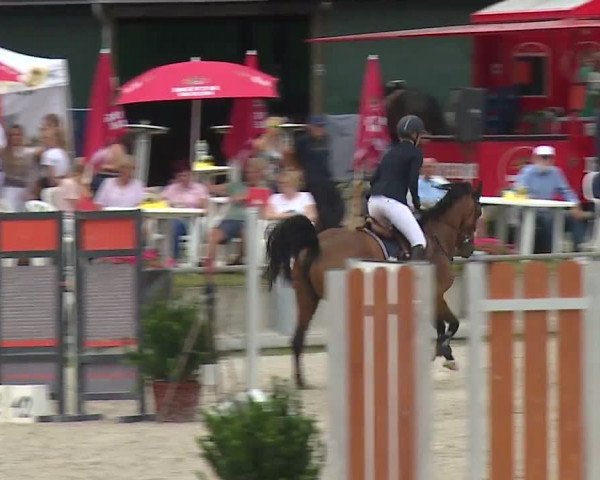 Reitturnier Grafenrheinfeld 2019
