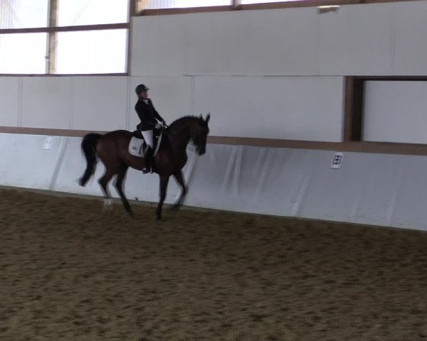 Reitturnier Waltrop 2019