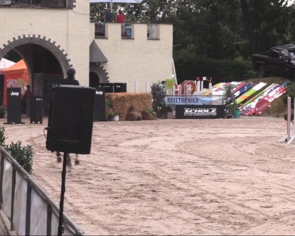 Reitturnier Görlitz 2019