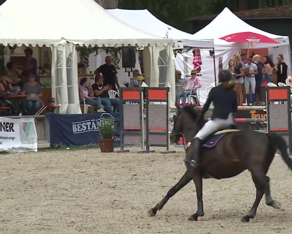 Reitturnier Grafenrheinfeld 2019
