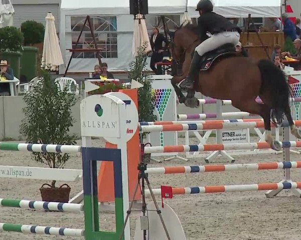 Reitturnier Grafenrheinfeld 2019