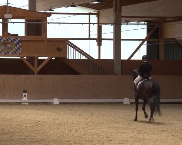 Reitturnier Grafenrheinfeld 2019