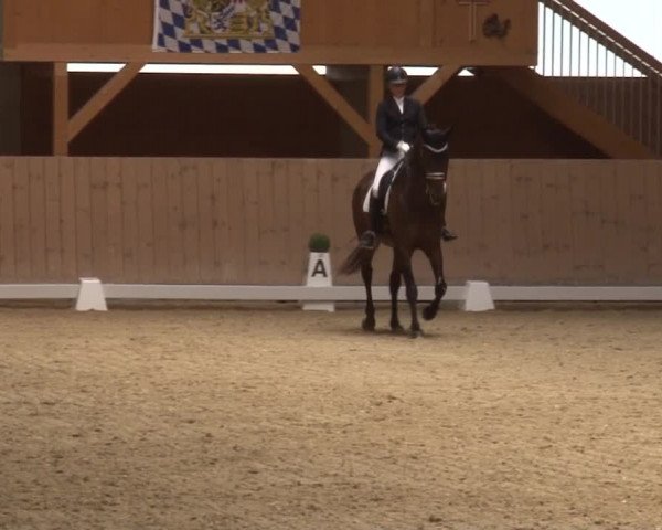 Reitturnier Grafenrheinfeld 2019
