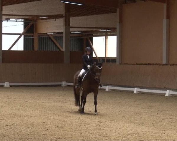 Reitturnier Grafenrheinfeld 2019