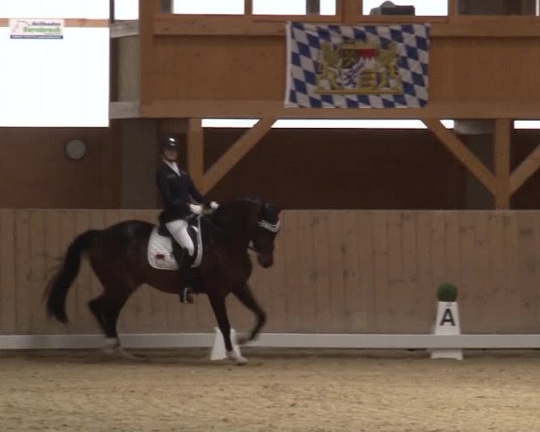 Reitturnier Grafenrheinfeld 2019