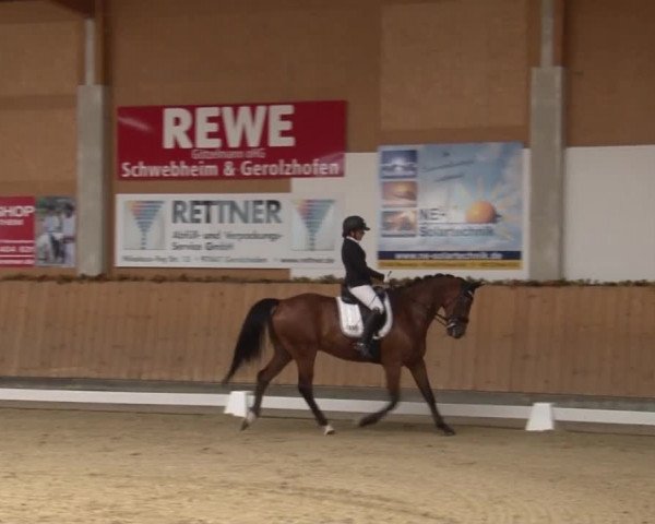Reitturnier Grafenrheinfeld 2019