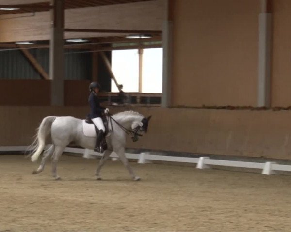 Reitturnier Grafenrheinfeld 2019