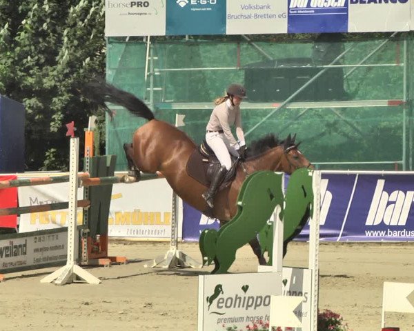 Reitturnier Oberderdingen 2019