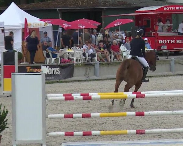 Reitturnier Grafenrheinfeld 2019