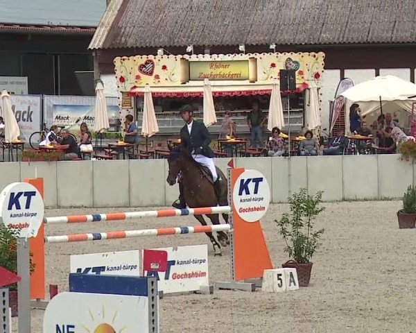 Reitturnier Grafenrheinfeld 2019