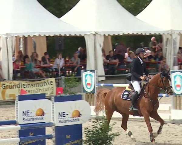Reitturnier Grafenrheinfeld 2019