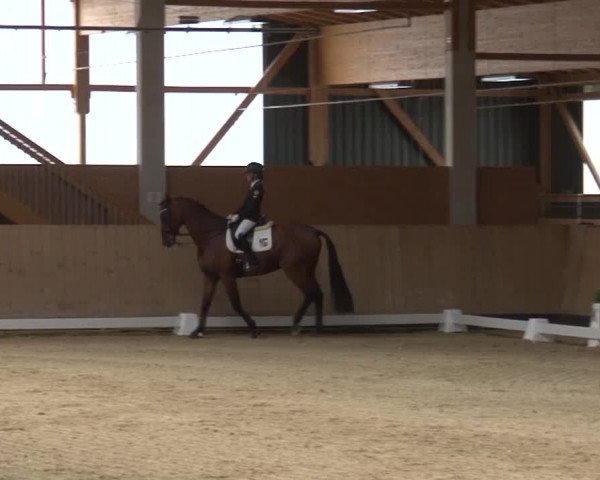 Reitturnier Grafenrheinfeld 2019