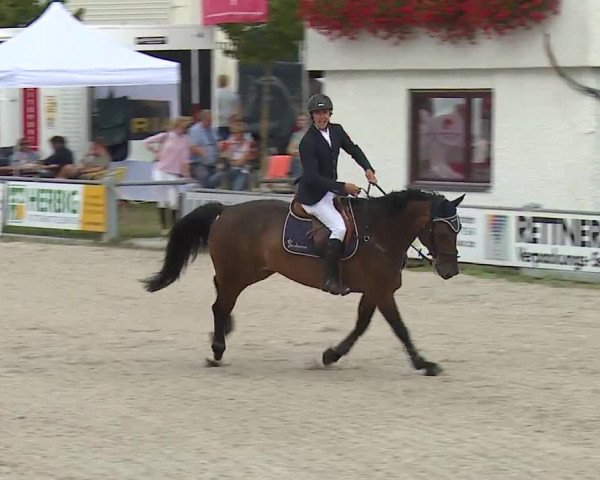 Reitturnier Grafenrheinfeld 2019