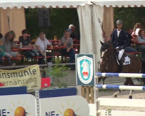 Reitturnier Grafenrheinfeld 2019