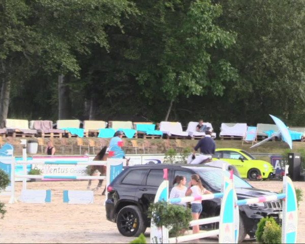 Reitturnier Görlitz 2019