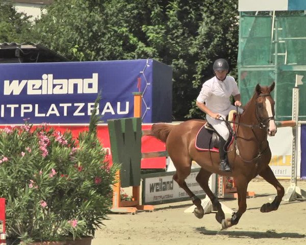 Reitturnier Oberderdingen 2019
