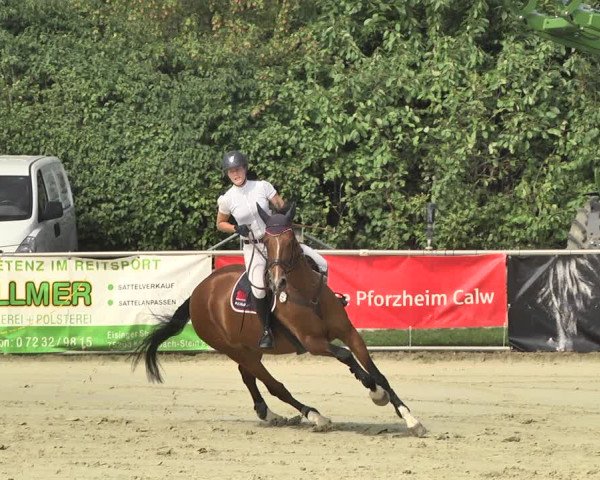 Reitturnier Oberderdingen 2019