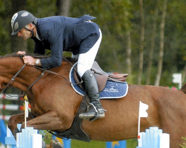 broodmare Olympiade d'Elle (Selle Français, 2002, from Dollar de la Pierre)