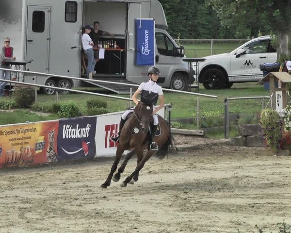 Reitturnier Oberderdingen 2019