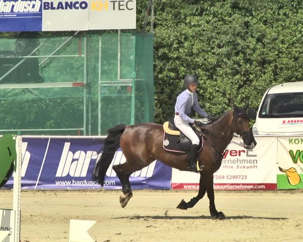 Reitturnier Oberderdingen 2019