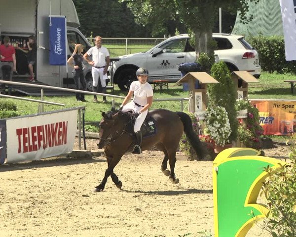 Reitturnier Oberderdingen 2019