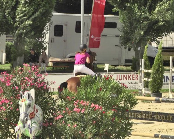 Reitturnier Oberderdingen 2019