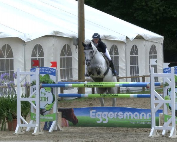 Reitturnier Waltrop 2019