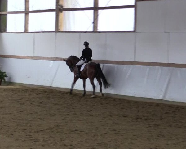 Reitturnier Waltrop 2019