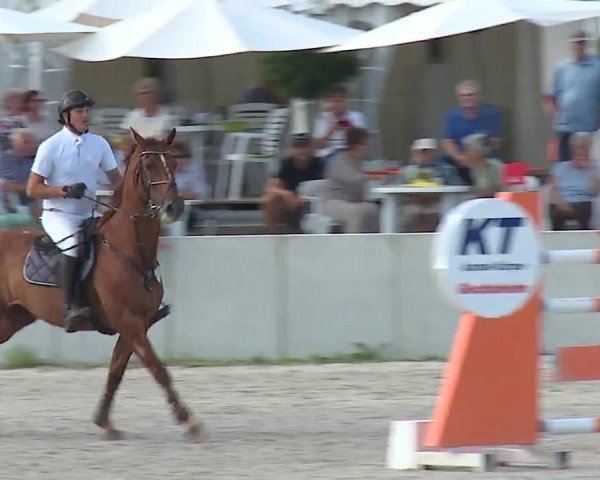 Reitturnier Grafenrheinfeld 2019