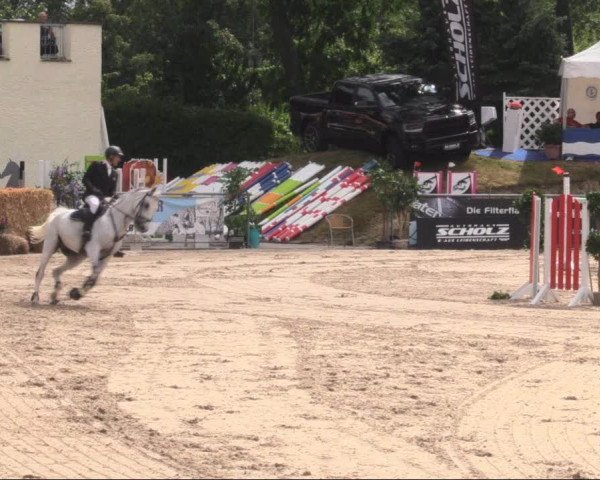 Reitturnier Görlitz 2019