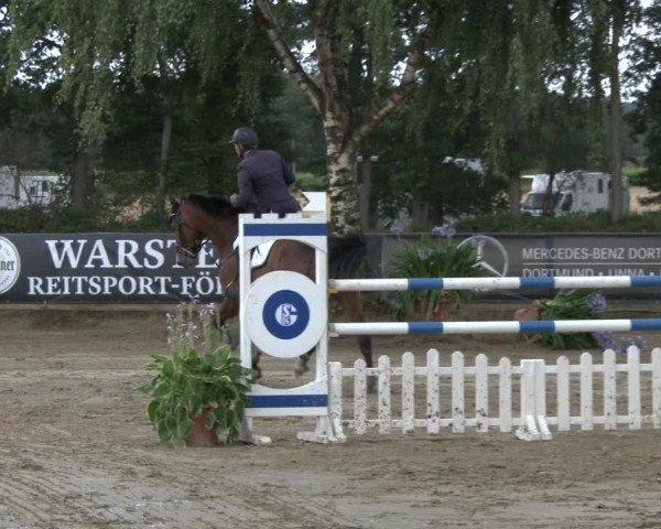 Reitturnier Waltrop 2019