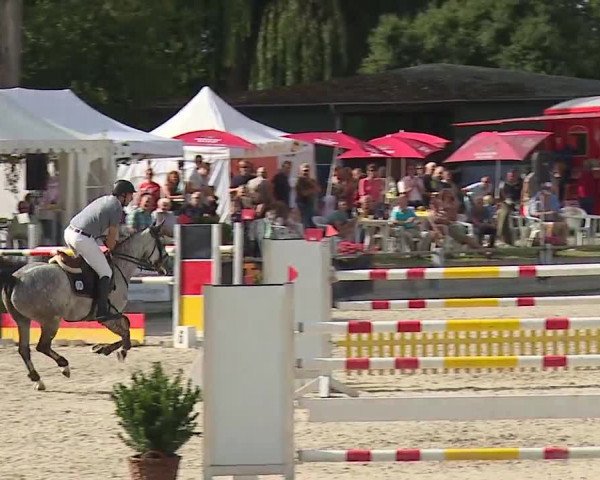 Reitturnier Grafenrheinfeld 2019