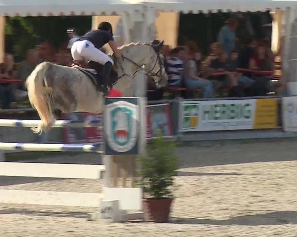 Reitturnier Grafenrheinfeld 2019