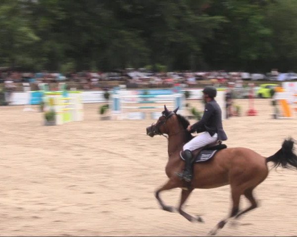 Reitturnier Görlitz 2019
