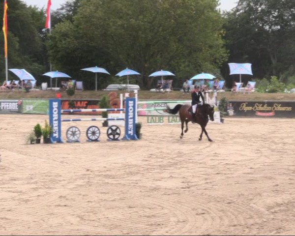 Reitturnier Görlitz 2019